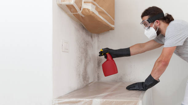 Professional Mold Testing technician working in Saint James City, FL